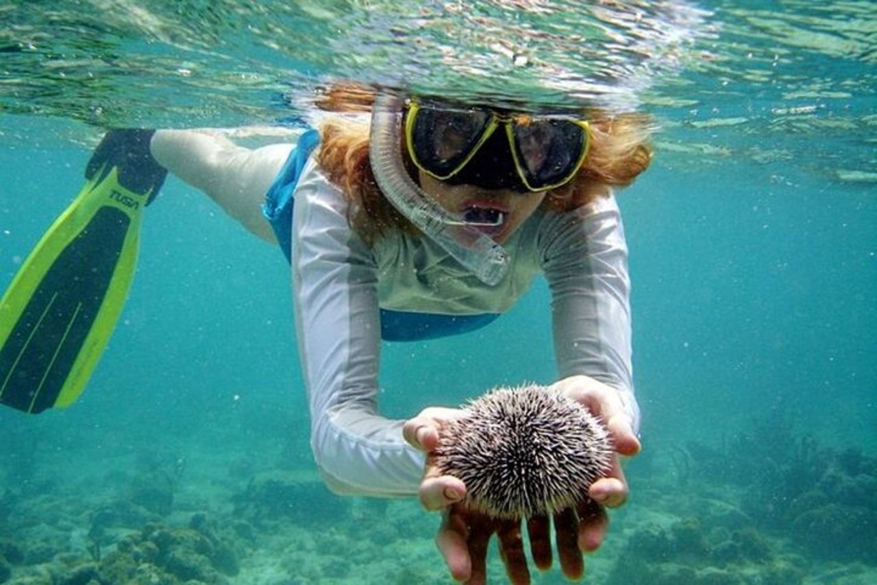 Baia di Nha Trang: esplora lo snorkeling di mezza giornata a Coral Reef — 5