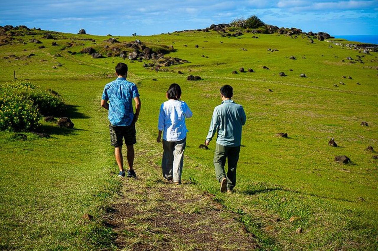 Tour privato di mezza giornata: Rano Kau e Orongo la città dei re — 8