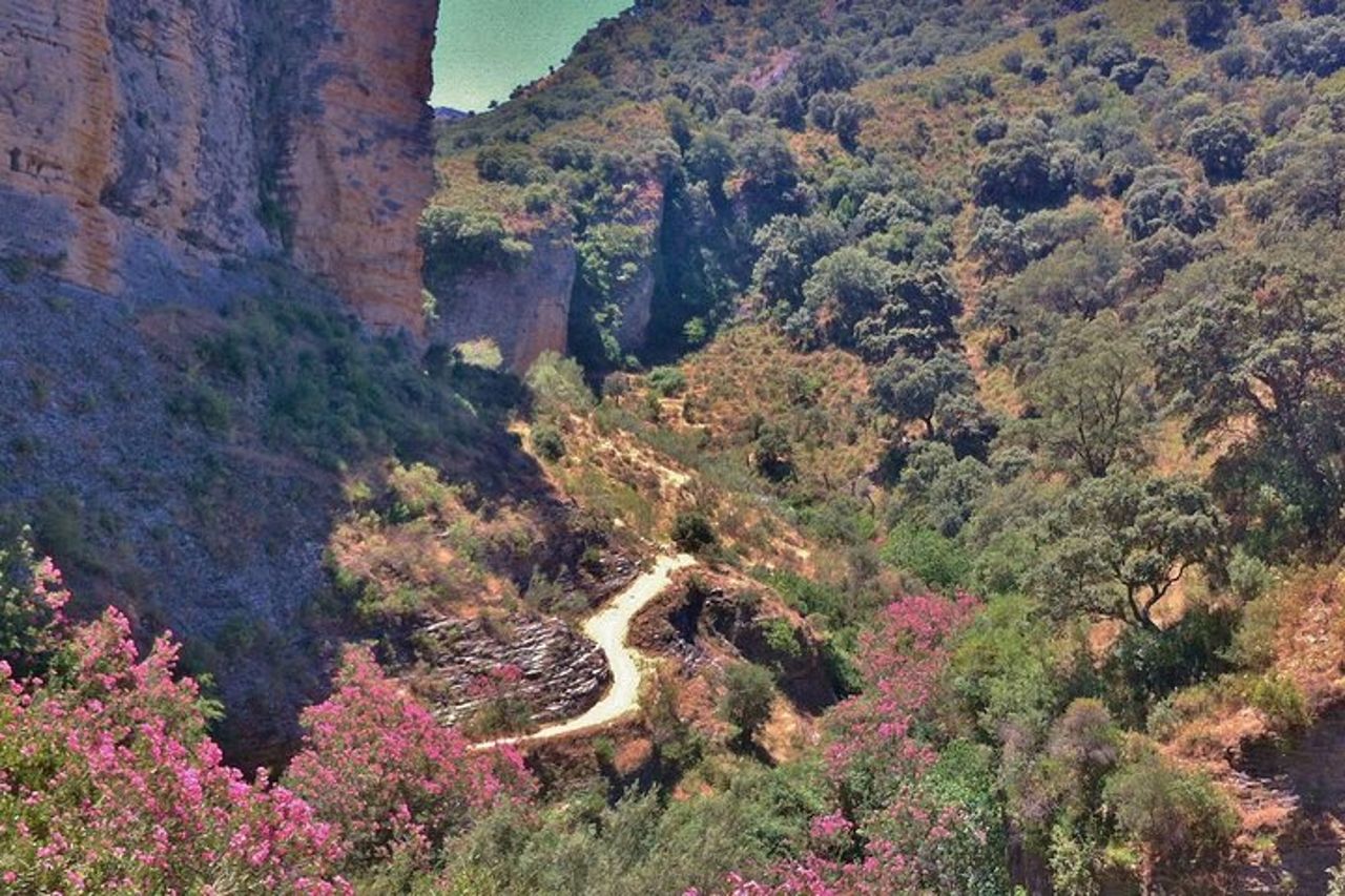 Escursionismo - Tajo del Abanico - 7 km Moderato — 5