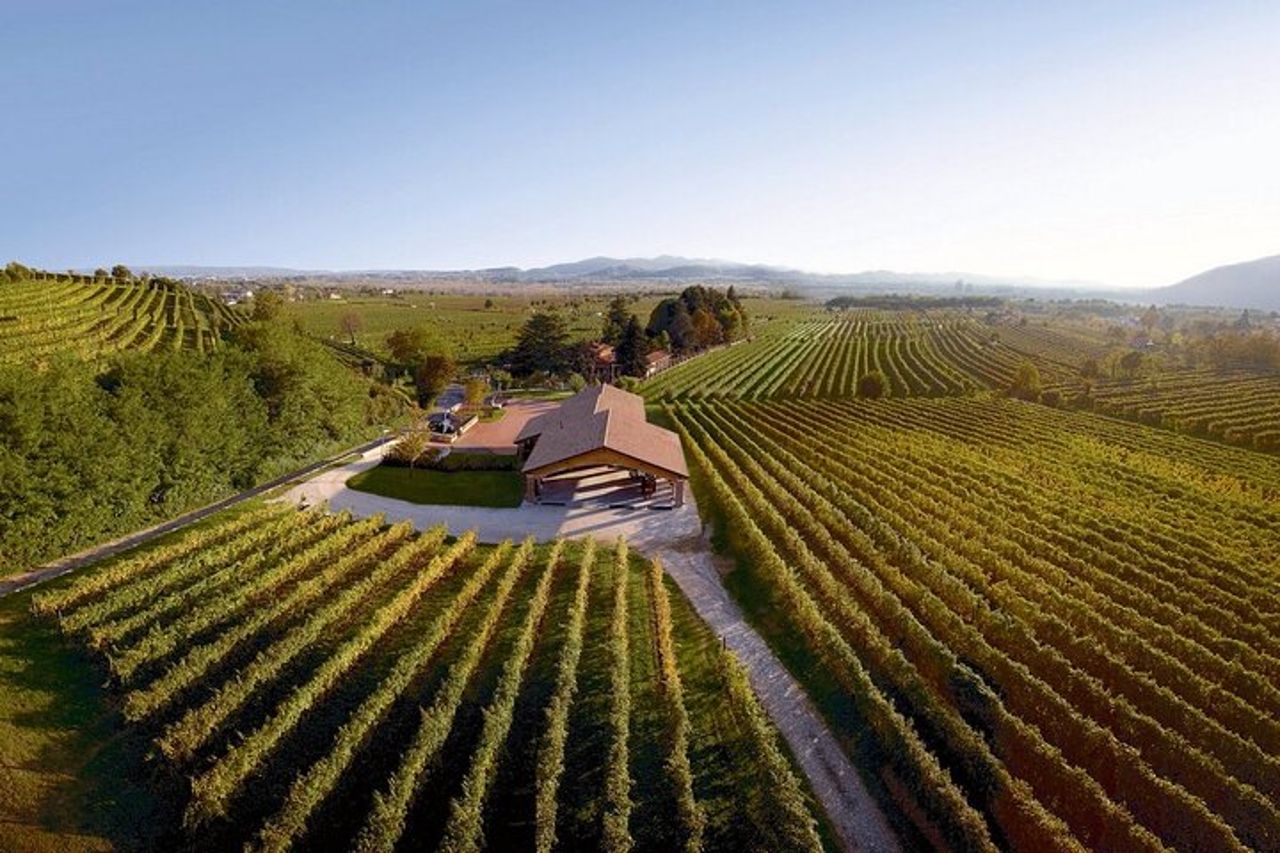 Sessione di pittura in vigneto e degustazione di Prosecco DOCG — 3