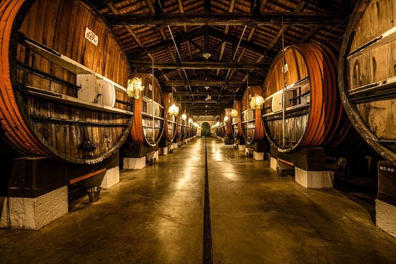 MARSIGLIA : Maison Noilly Prat, visita delle cantine e degustazione Francese — 3