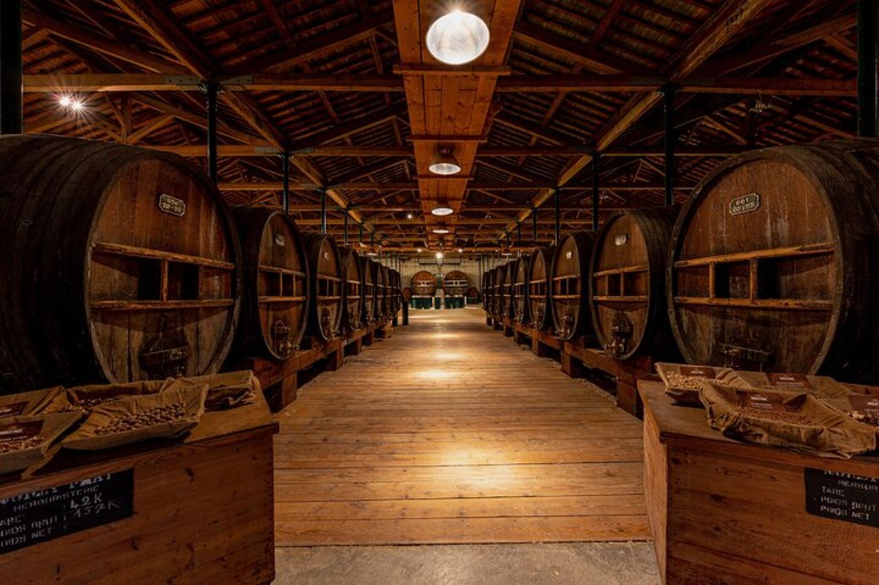 MARSIGLIA : Maison Noilly Prat, visita delle cantine e degustazione Francese — 5