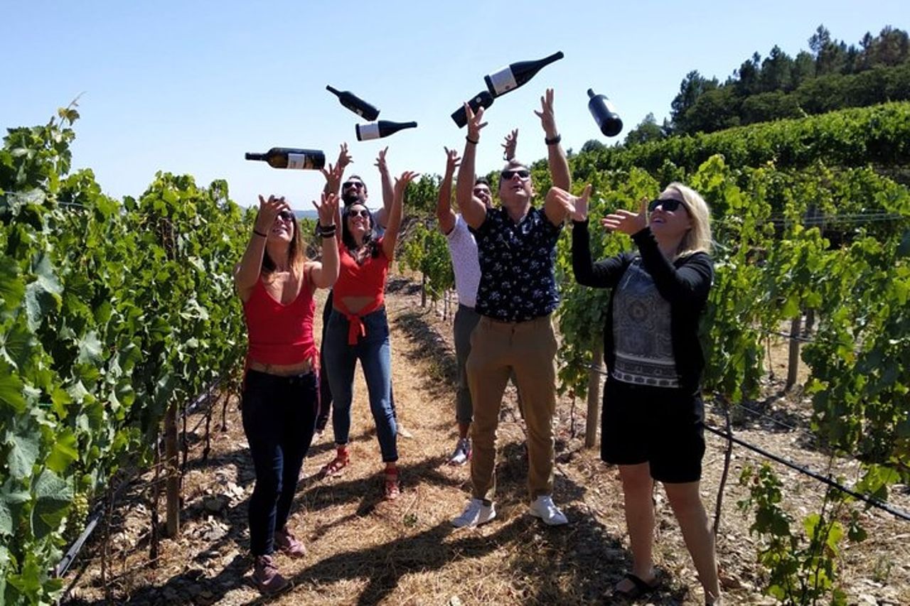 Tour del vino per piccoli gruppi della Valle del Douro con pranzo e crociera sul fiume — 2
