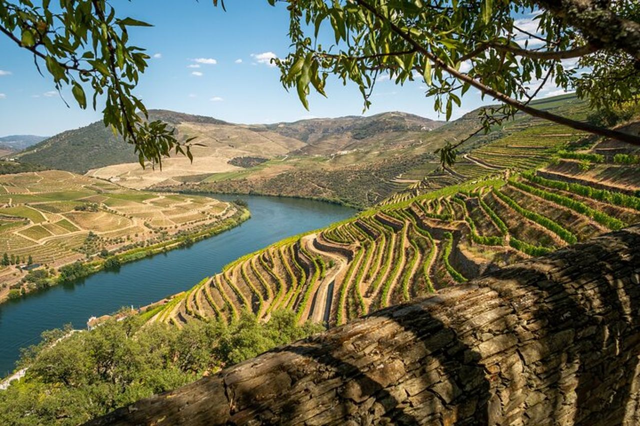 Tour del vino per piccoli gruppi della Valle del Douro con pranzo e crociera sul fiume