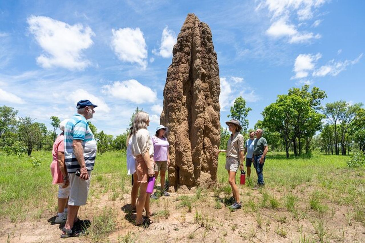 Tour del Parco Nazionale di Litchfield con zone umide o crociera con i coccodrilli — 7