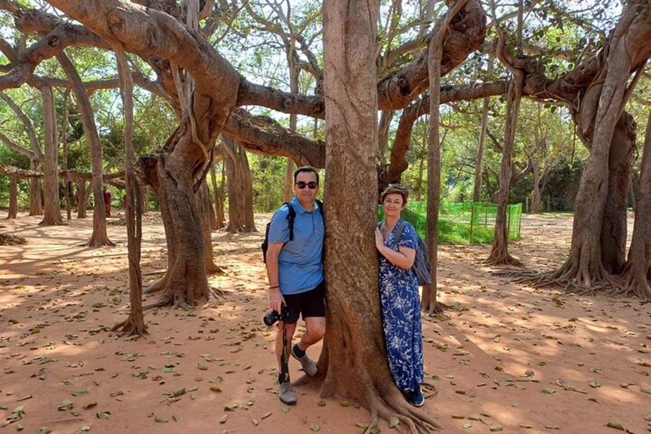 Il meglio di Pondicherry: un giro turistico privato — 8