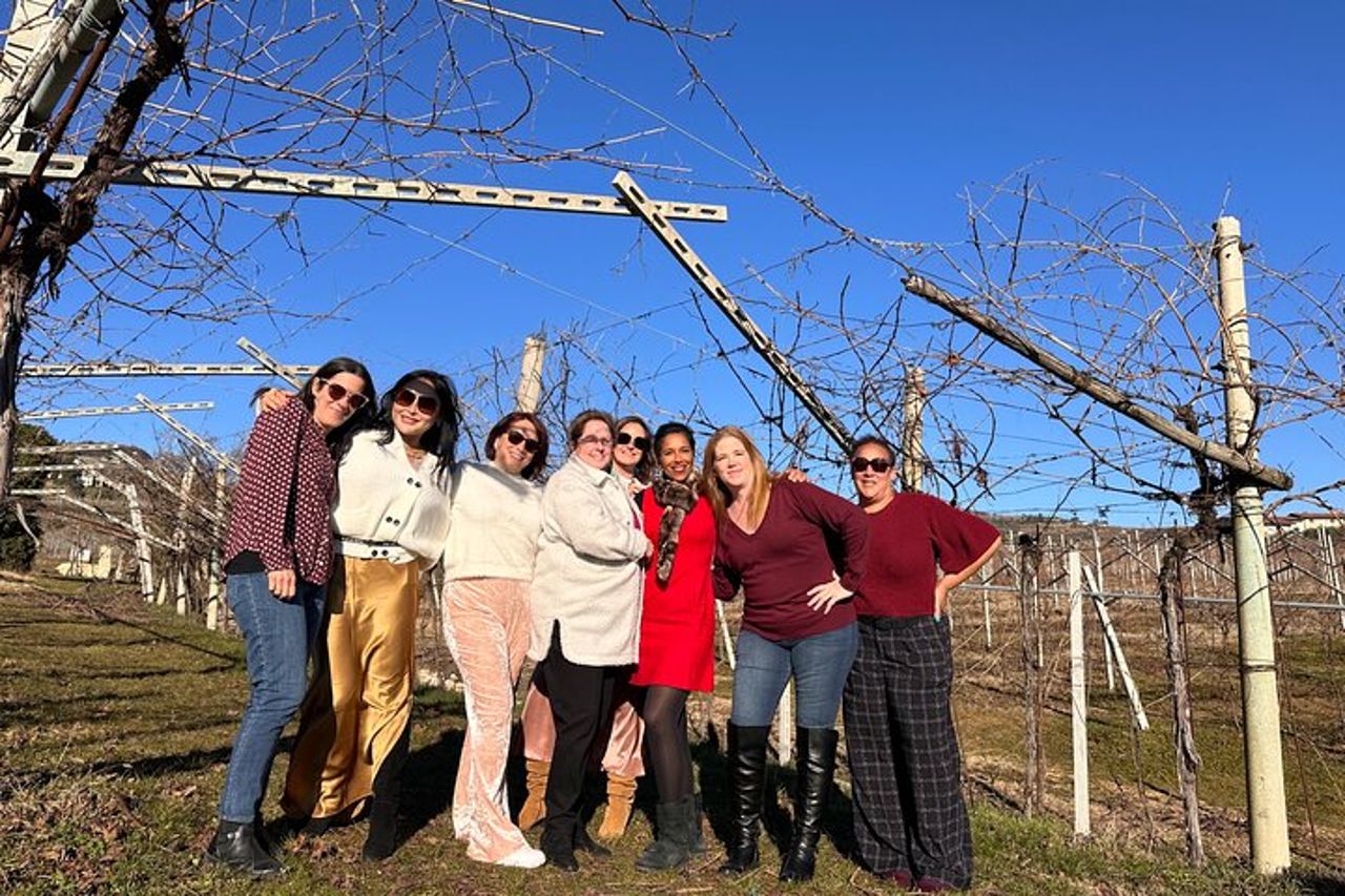 Grand tour della Valpolicella: focus Amarone, 2 Cantine e Pranzo — 4