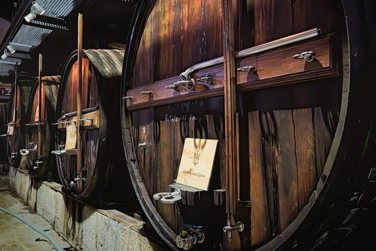 Tour del vino per piccoli gruppi della Valle del Douro con pranzo e crociera sul fiume — 9