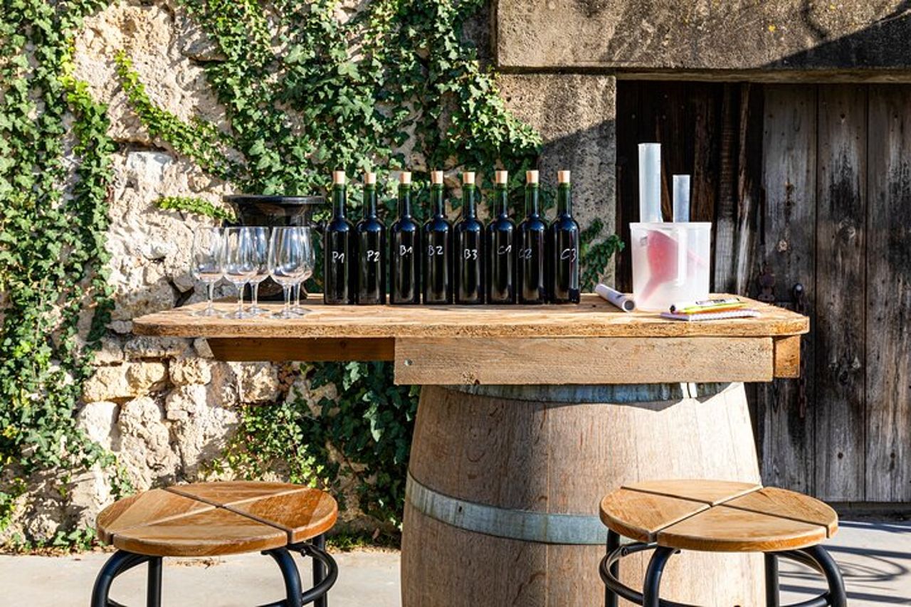 Assembla la tua propria cupola di vino in immersione al vigneto