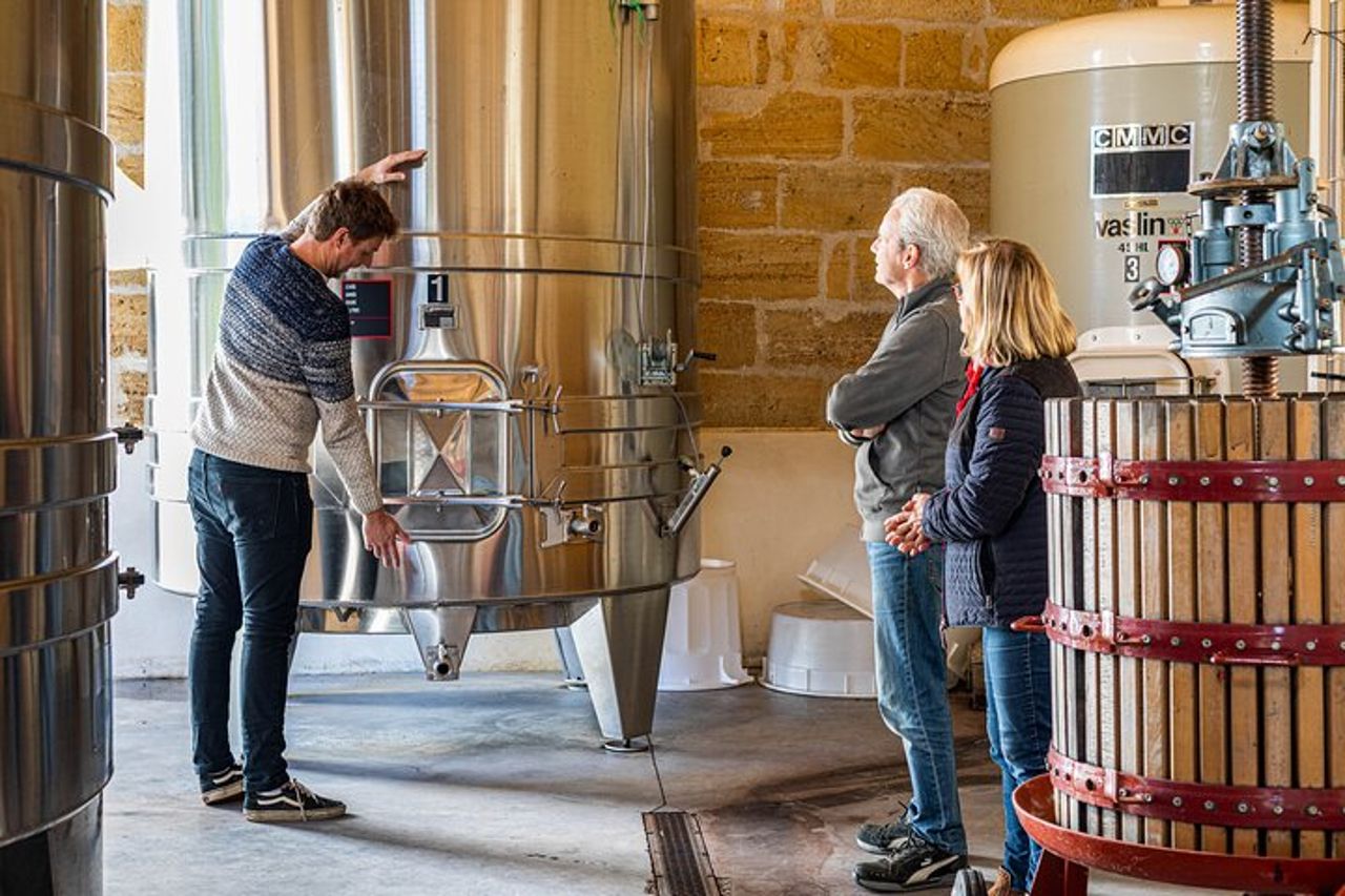 Assembla la tua propria cupola di vino in immersione al vigneto — 4