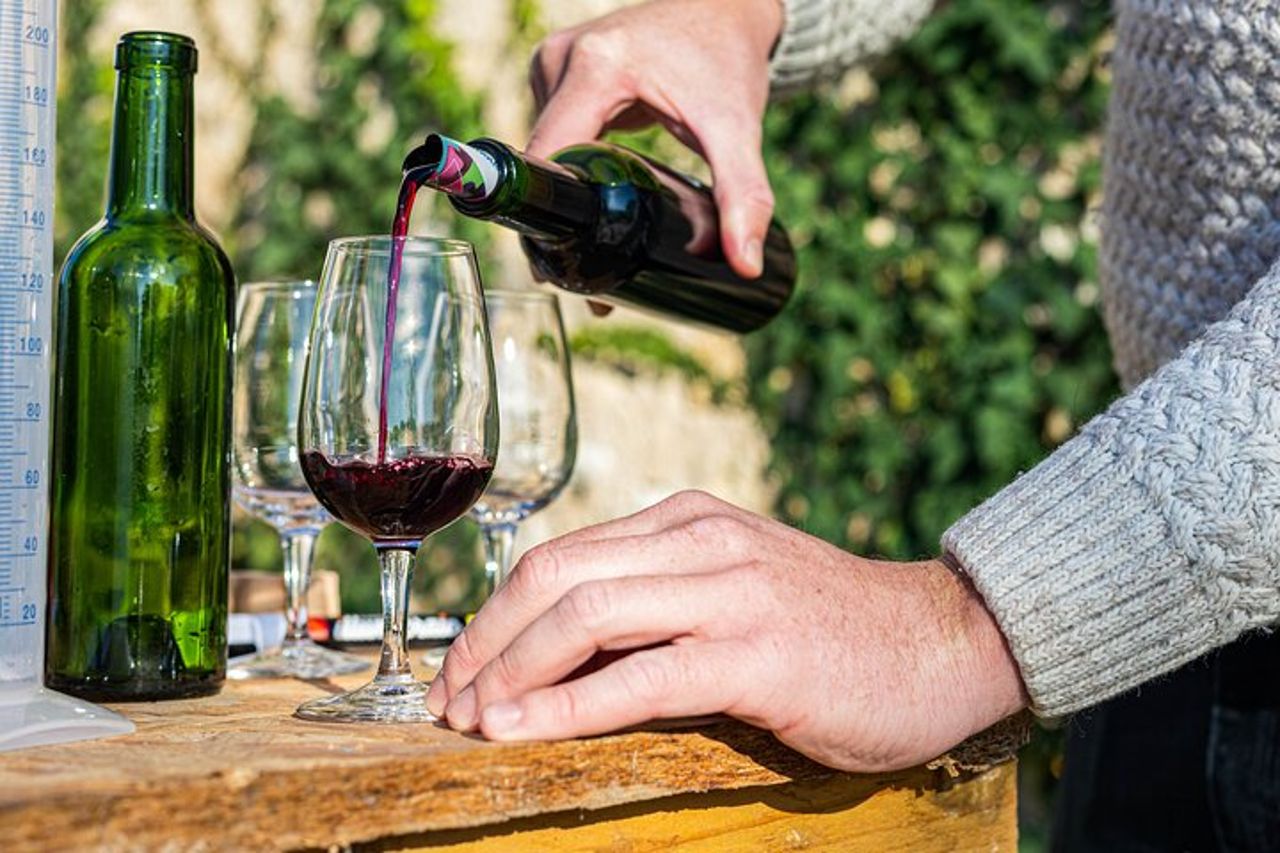 Assembla la tua propria cupola di vino in immersione al vigneto — 5