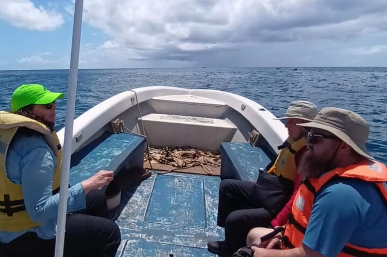 Tour ai Motus: Gita in barca e snorkeling a Rapa Nui — 9