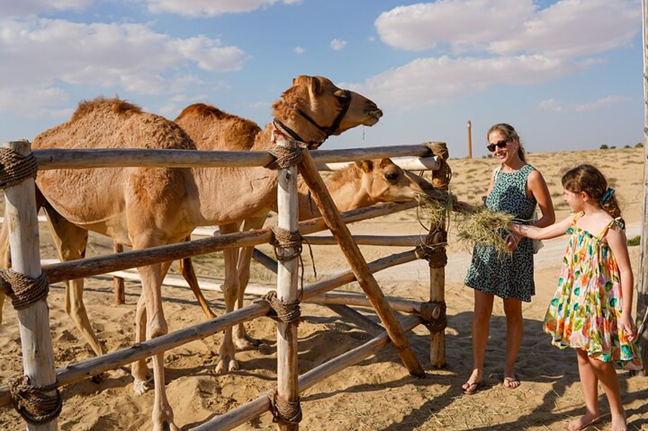 Safari serale Heritage di Classe G Vintage all'oasi di Al Marmoom — 8