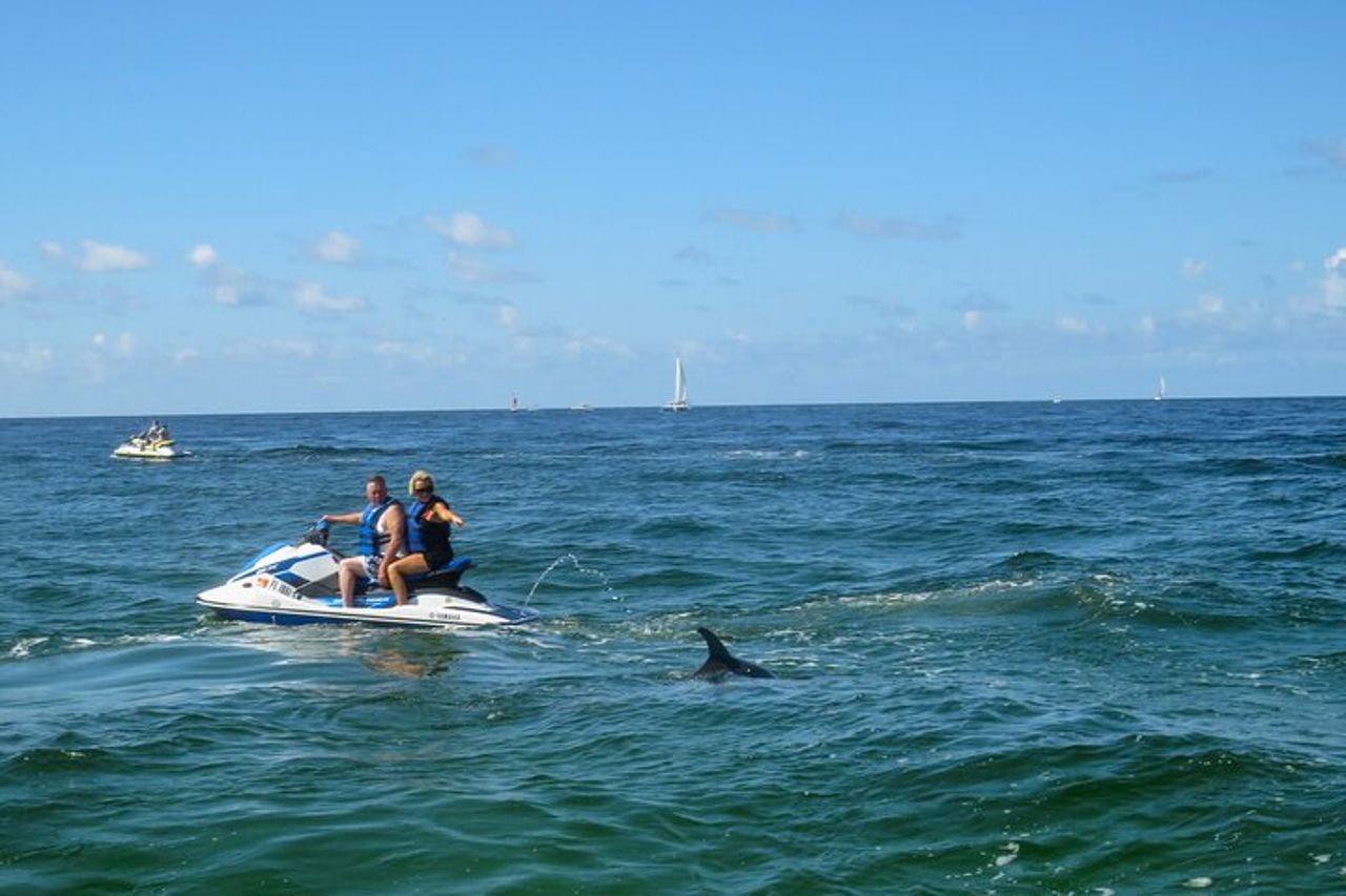 Crab Island Dolphin Jet Ski Adventure — 7