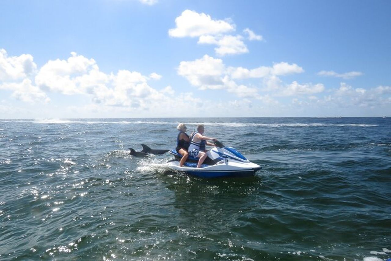 Crab Island Dolphin Jet Ski Adventure — 8