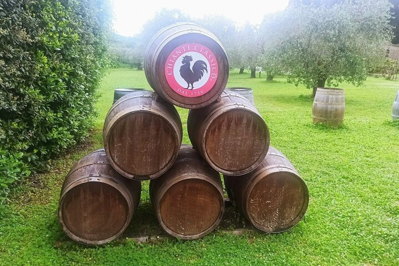 Tour del vino del Chianti Classico "Gallo Nero" e "Super Tuscan". — 8