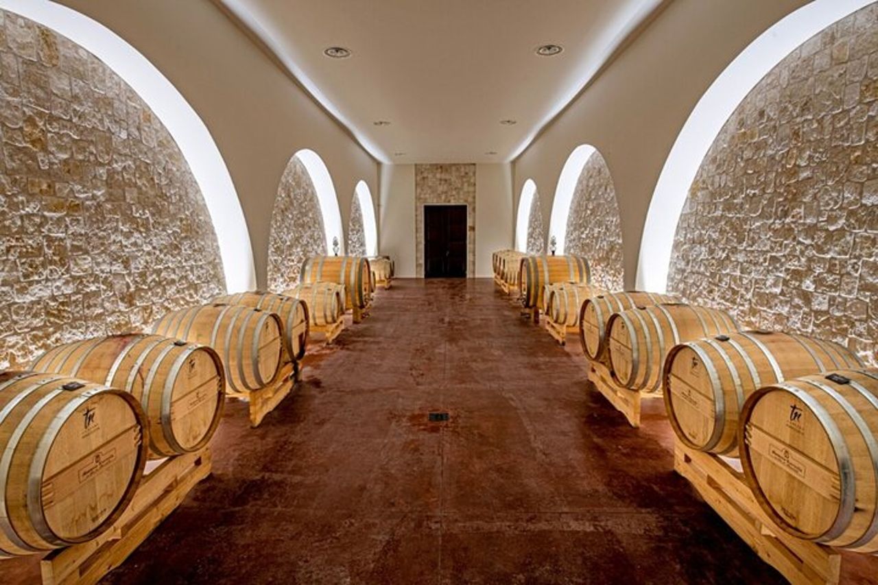 Azienda vinicola Alberobello : esperienza di abbinamento vino & cibo — 6