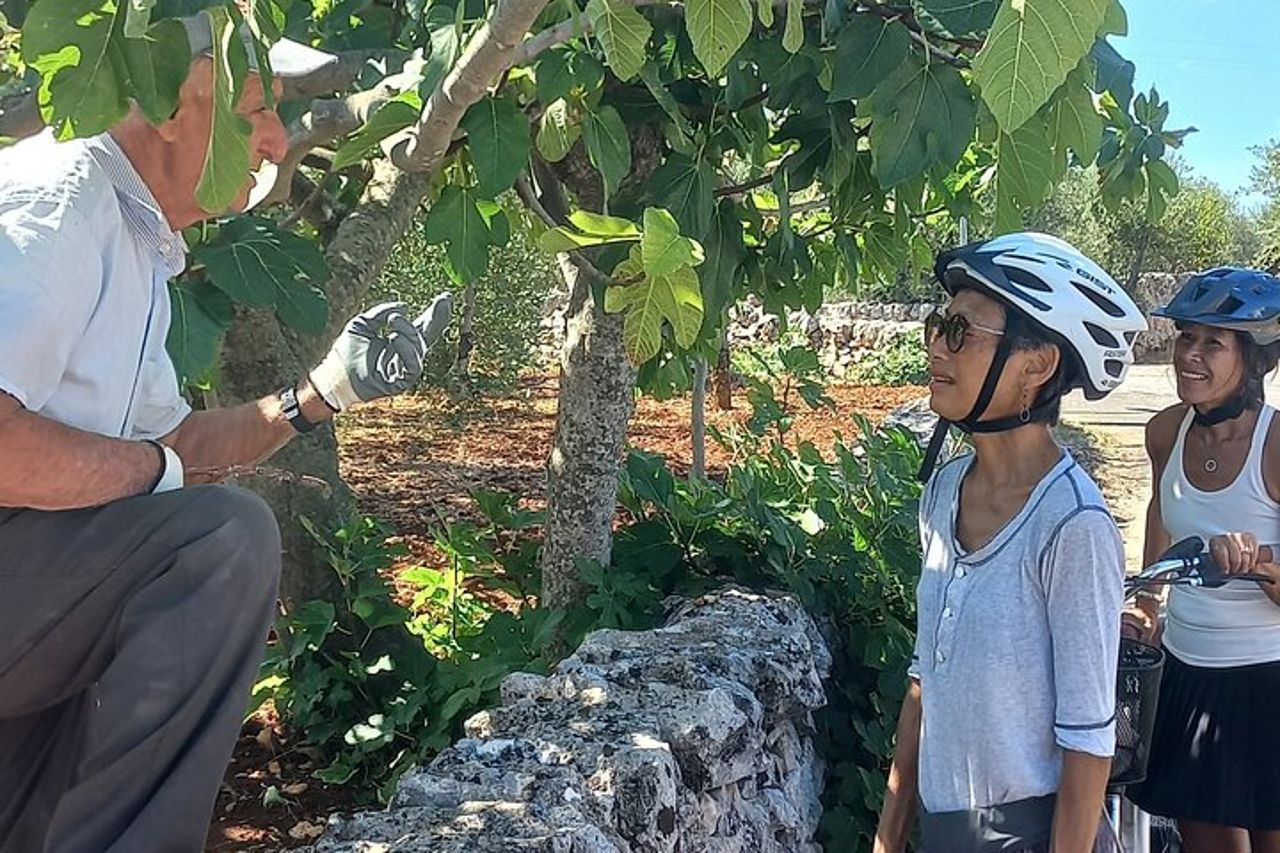 Tour Ebike Trulli Alberobello — 6