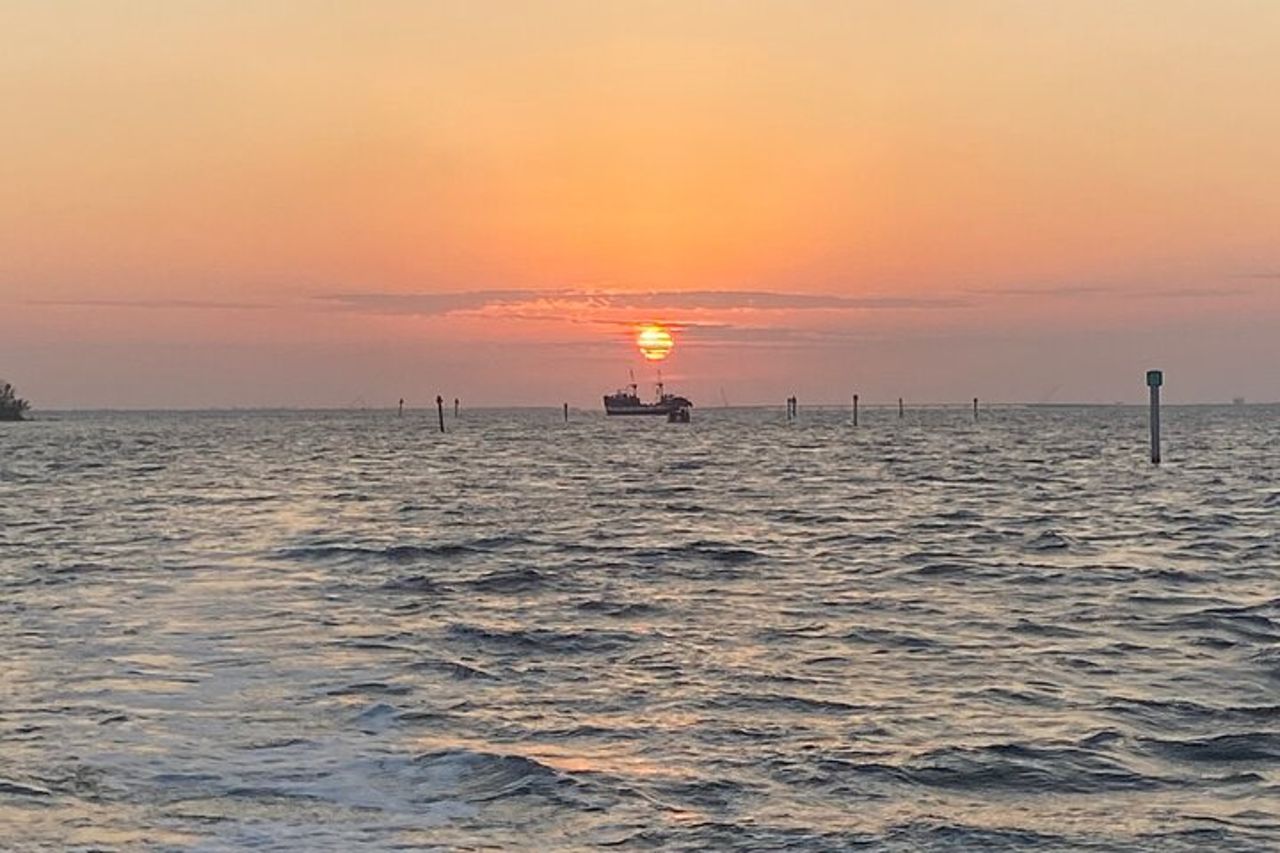Crociera al tramonto e con i delfini intorno a Fort Myers Beach — 3