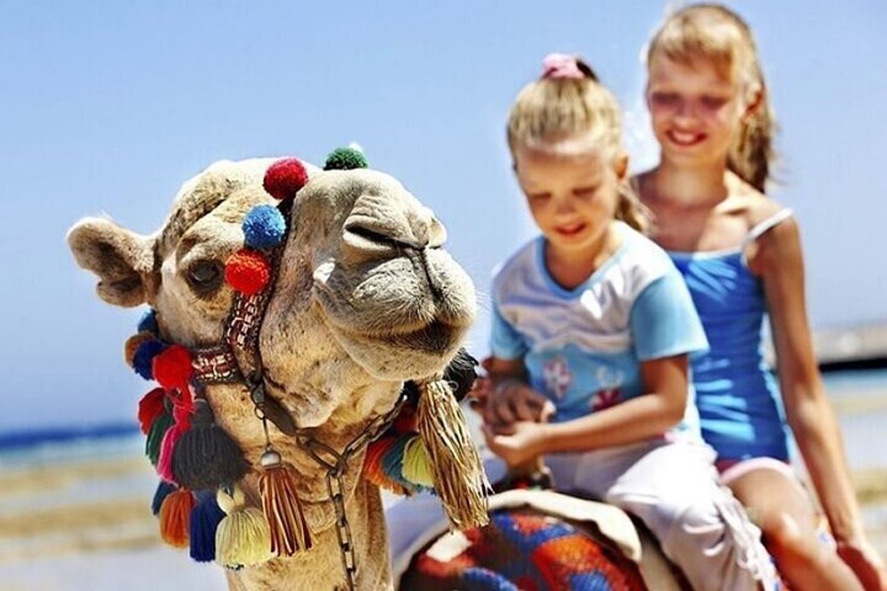 Autentico tour privato di Tangeri da Estepona Camel Ride & Lunch — 3
