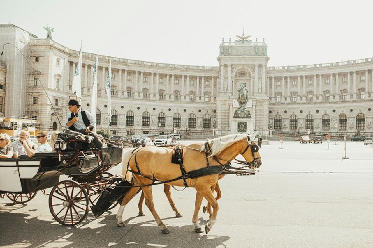 Da Salisburgo a Vienna, trasferimento privato, 2 ore di giro turistico, autista locale, inglese — 9