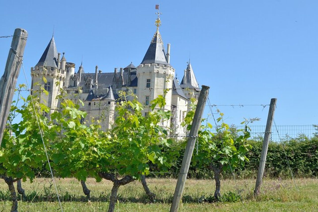 Tour di mezza giornata del vino nella Valle della Loira a Vouvray — 4