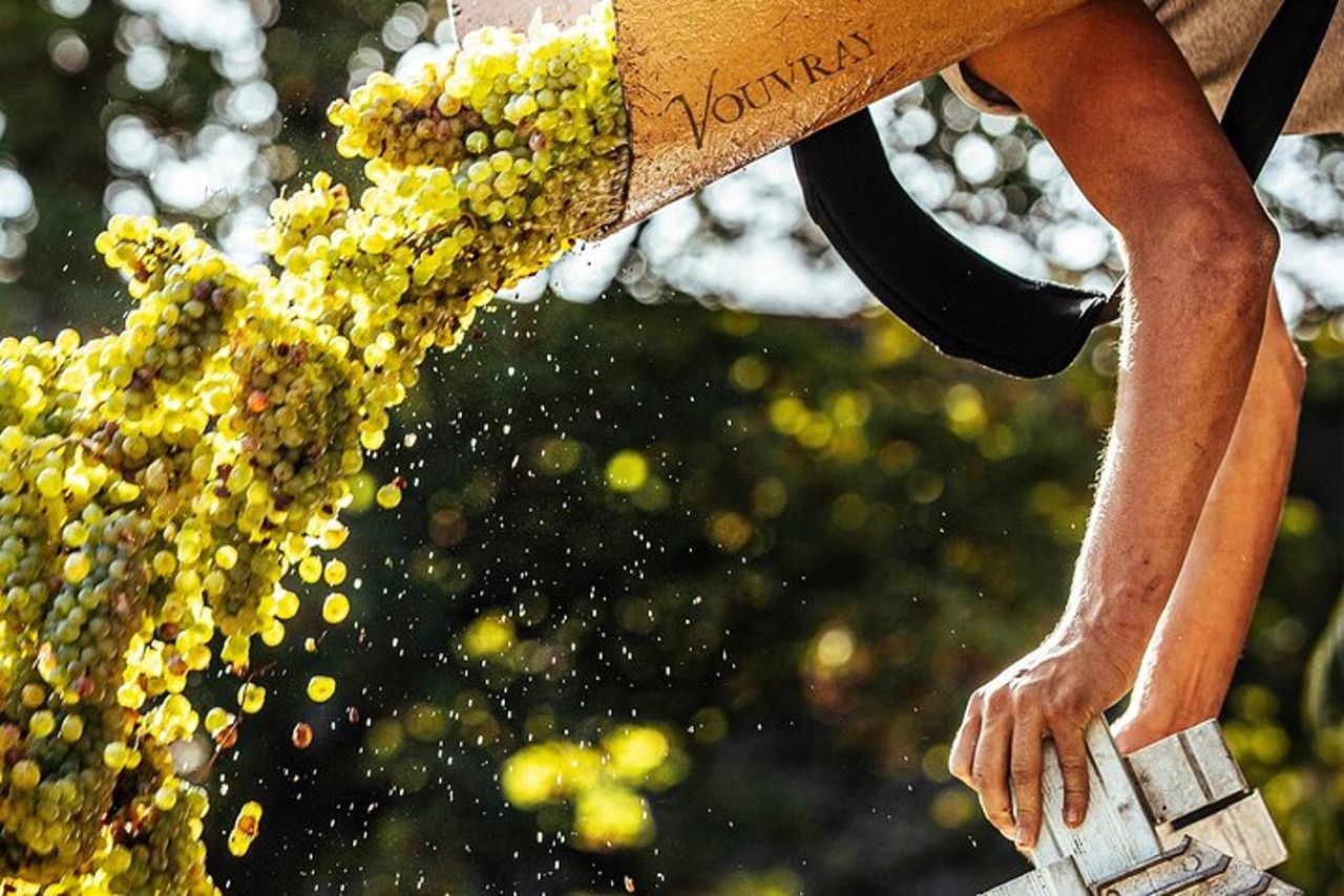 Tour di mezza giornata del vino nella Valle della Loira a Vouvray
