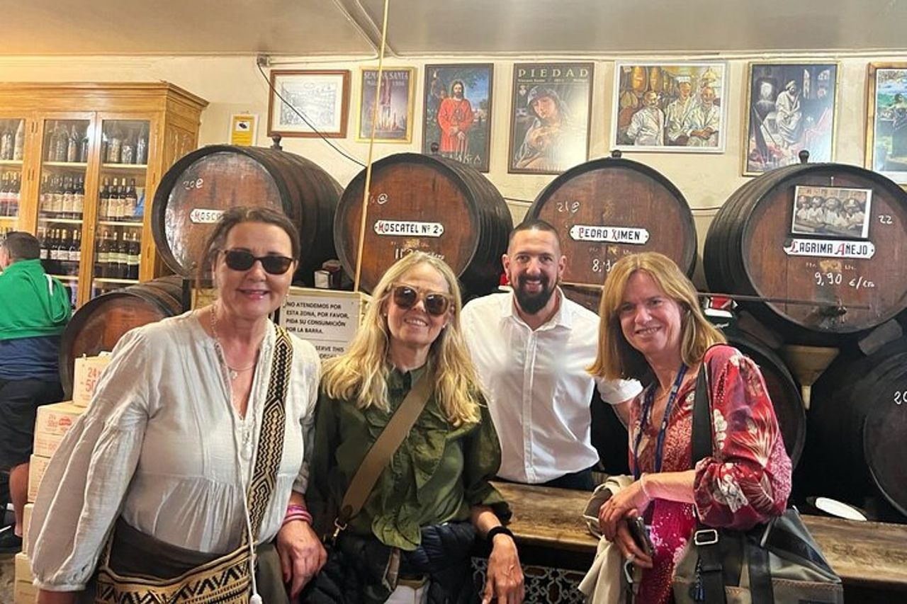 Tour privato di un giorno a Malaga con hotel o ritiro a terra da Marbella — 2