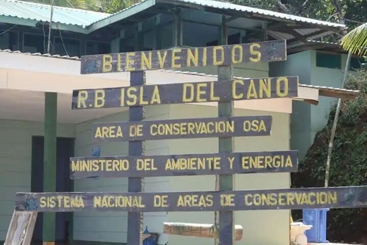 Tour subacqueo all'Isola di Cano (Isla del Caño) da Drake Bay — 4