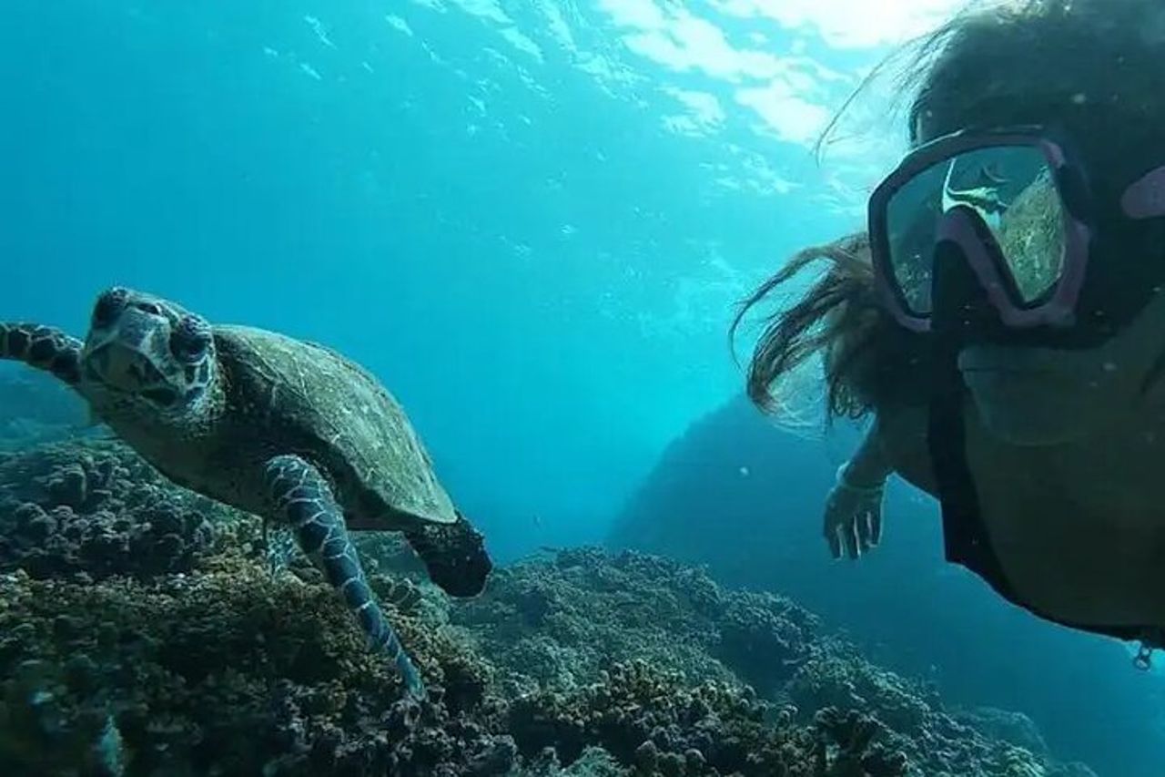 Tour di snorkeling di Isla del Caño da Drake Bay (isola di Cano) — 2