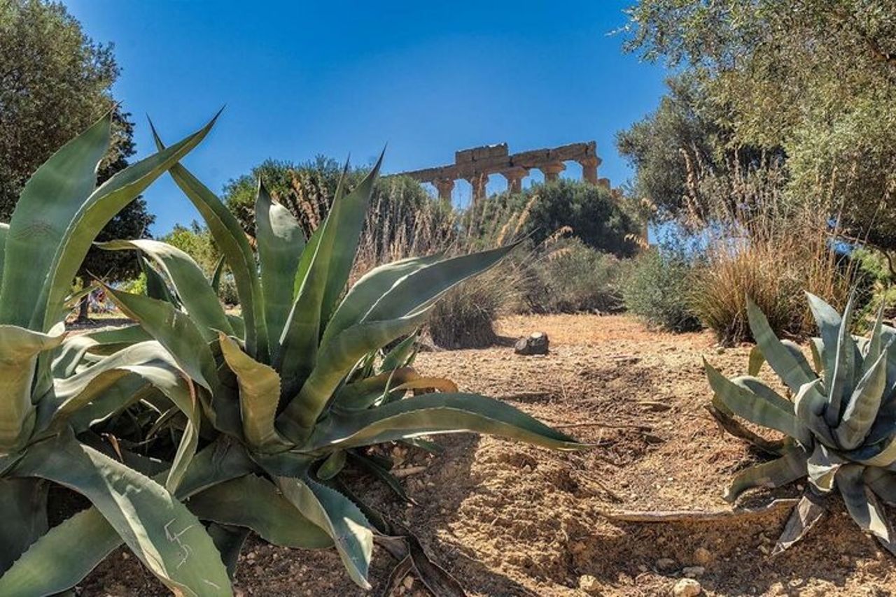 Tour guidato alla Valle dei Templi di Agrigento da Cefalù — 5