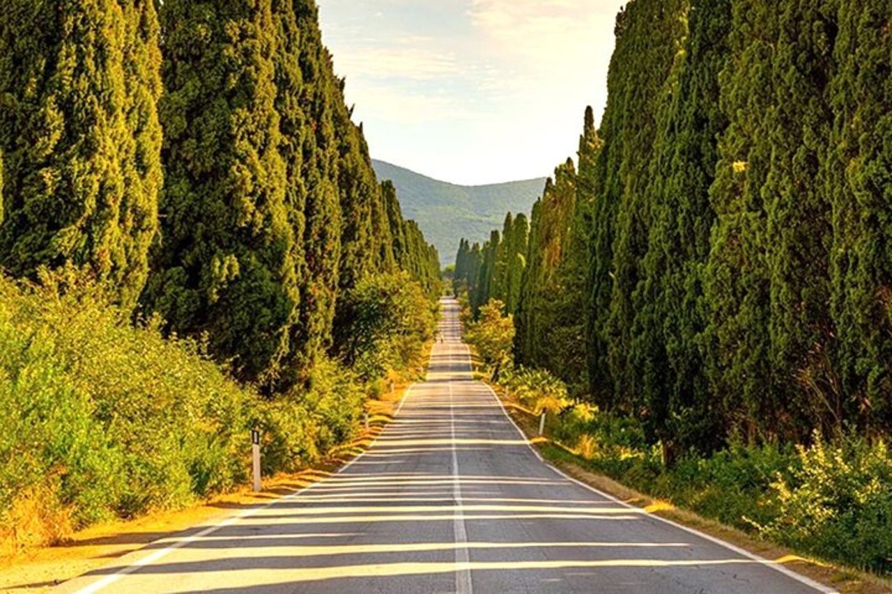 Tour privato della costa toscana e pranzo a Bolgheri da Livorno — 7