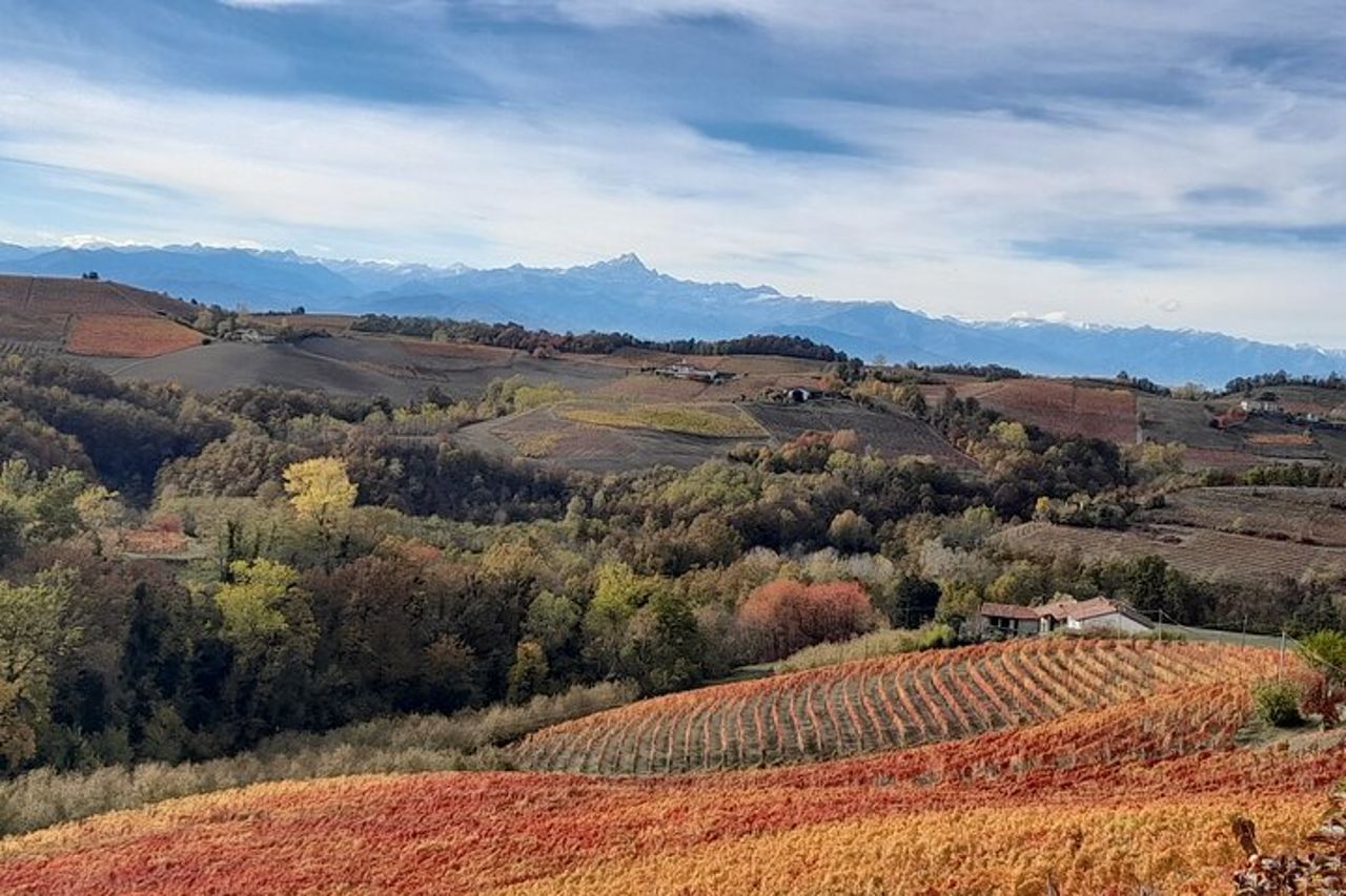 Tour di Degustazioni Vini e Prodotti Tipici