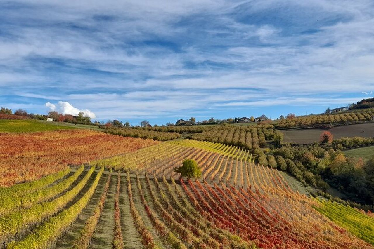 Tour di Degustazioni Vini e Prodotti Tipici — 2
