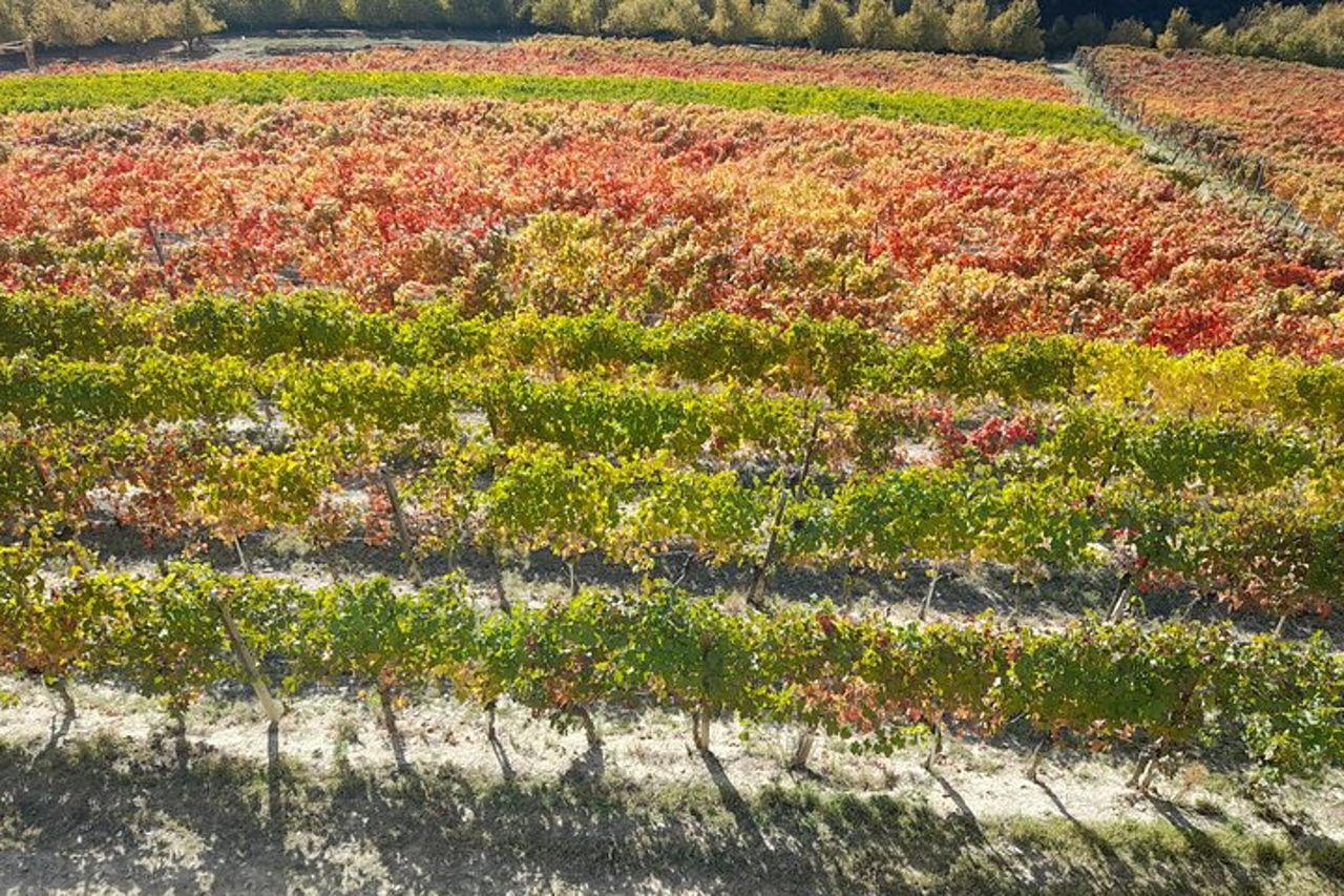 Tour di Degustazioni Vini e Prodotti Tipici — 5