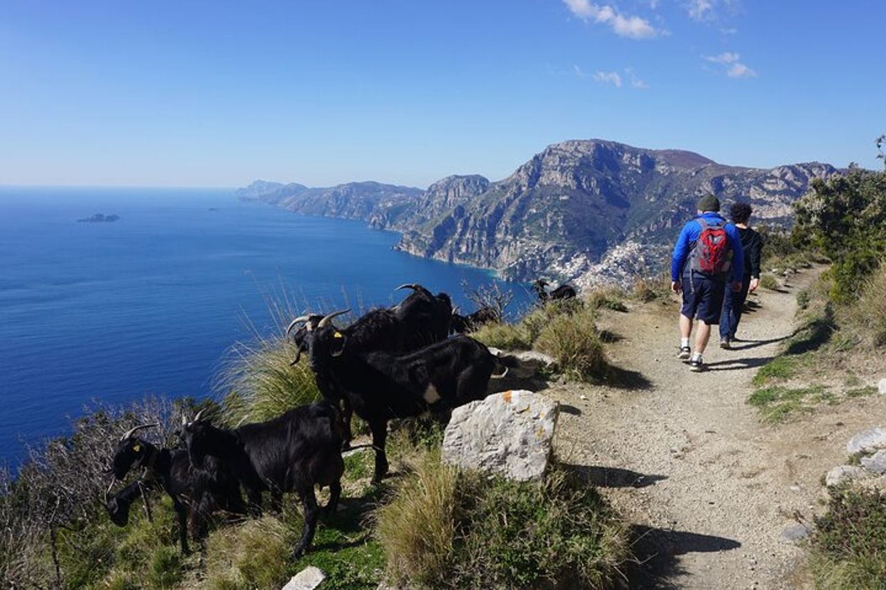 Sentiero degli Dei al Tramonto + Enogastronomia alla Capanna del Pastore — 7