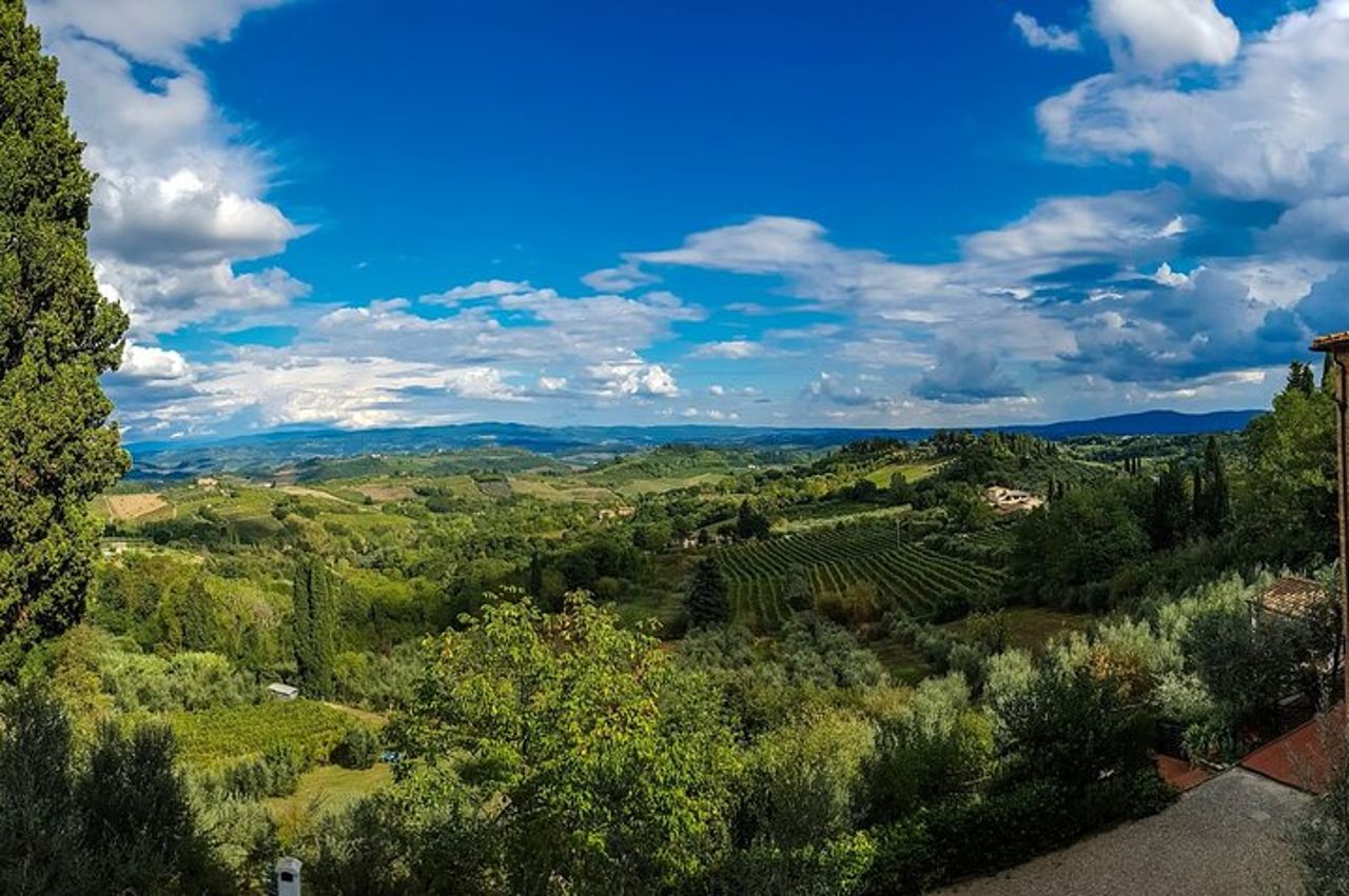 Tour privato del Chianti, Siena e San Gimignano in Minivan — 9