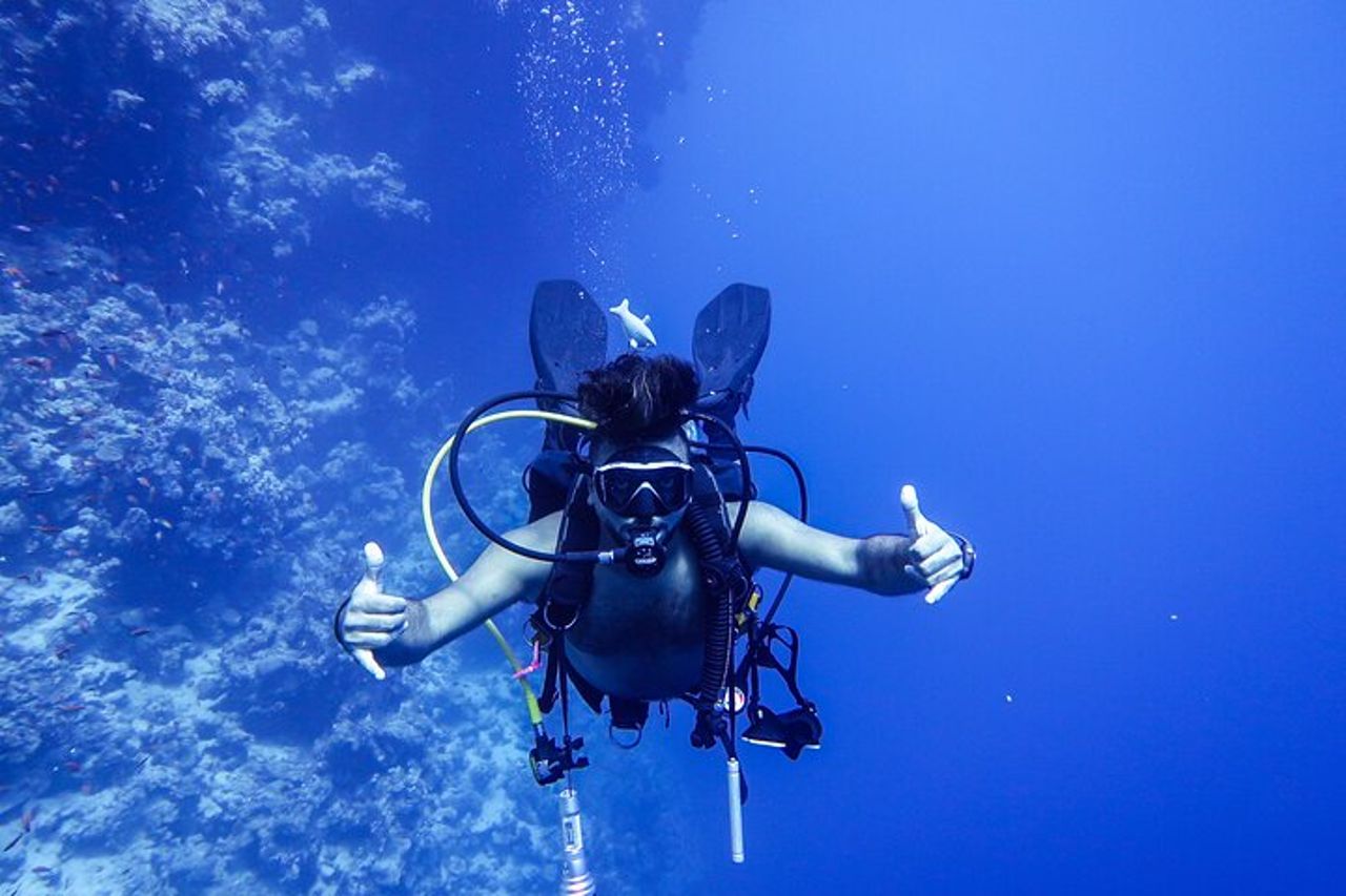 Immergiti ed esplora il Mar Rosso di Aqaba con una guida privata — 5