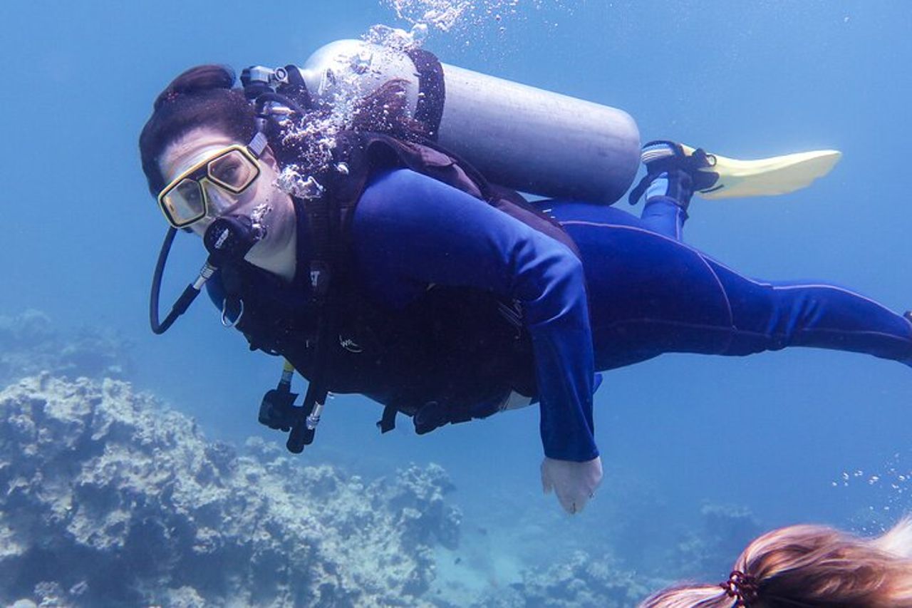 Immergiti ed esplora il Mar Rosso di Aqaba con una guida privata — 7