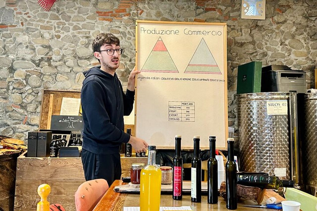 Visite guidate all'oliveto con degustazione degli oli. — 7