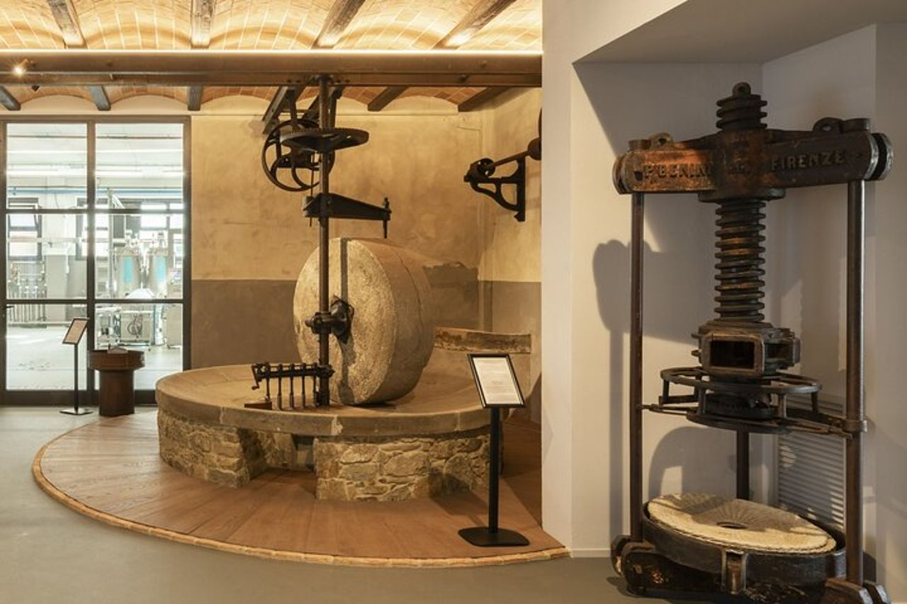 Museo dell’olio e frantoio in Toscana: tour e degustazione — 3