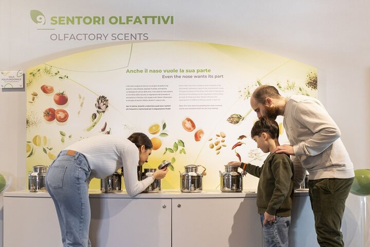Museo dell’olio e frantoio in Toscana: tour e degustazione — 6