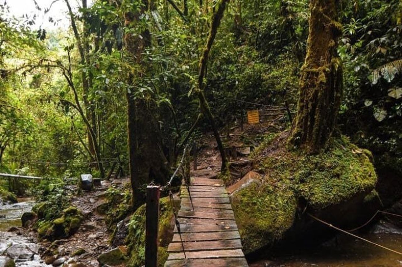 Tour privato nel Salento, Valle del Cocora e Filandia — 5