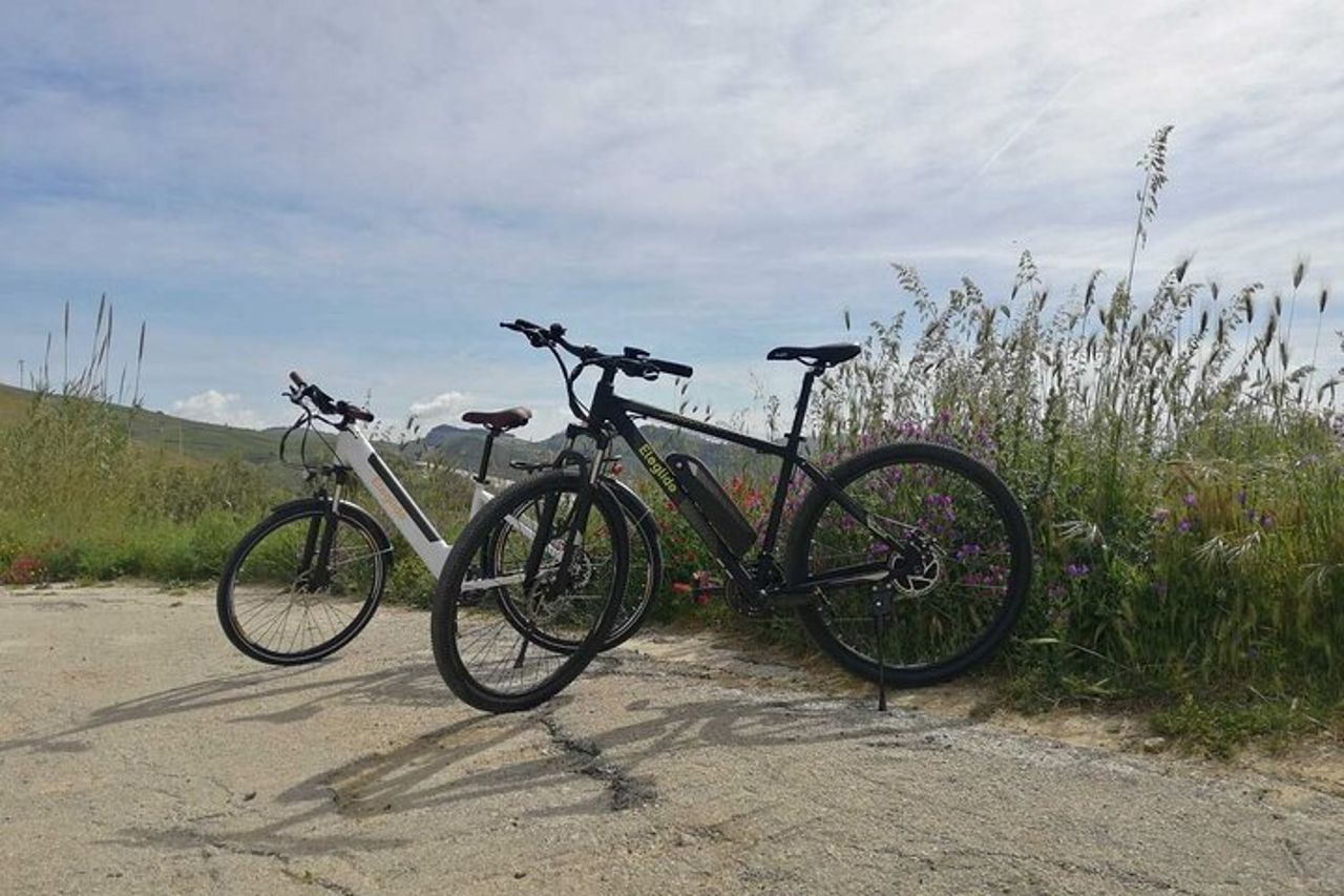 Noleggio E Bike di un giorno alla scoperta dei Cretti — 6