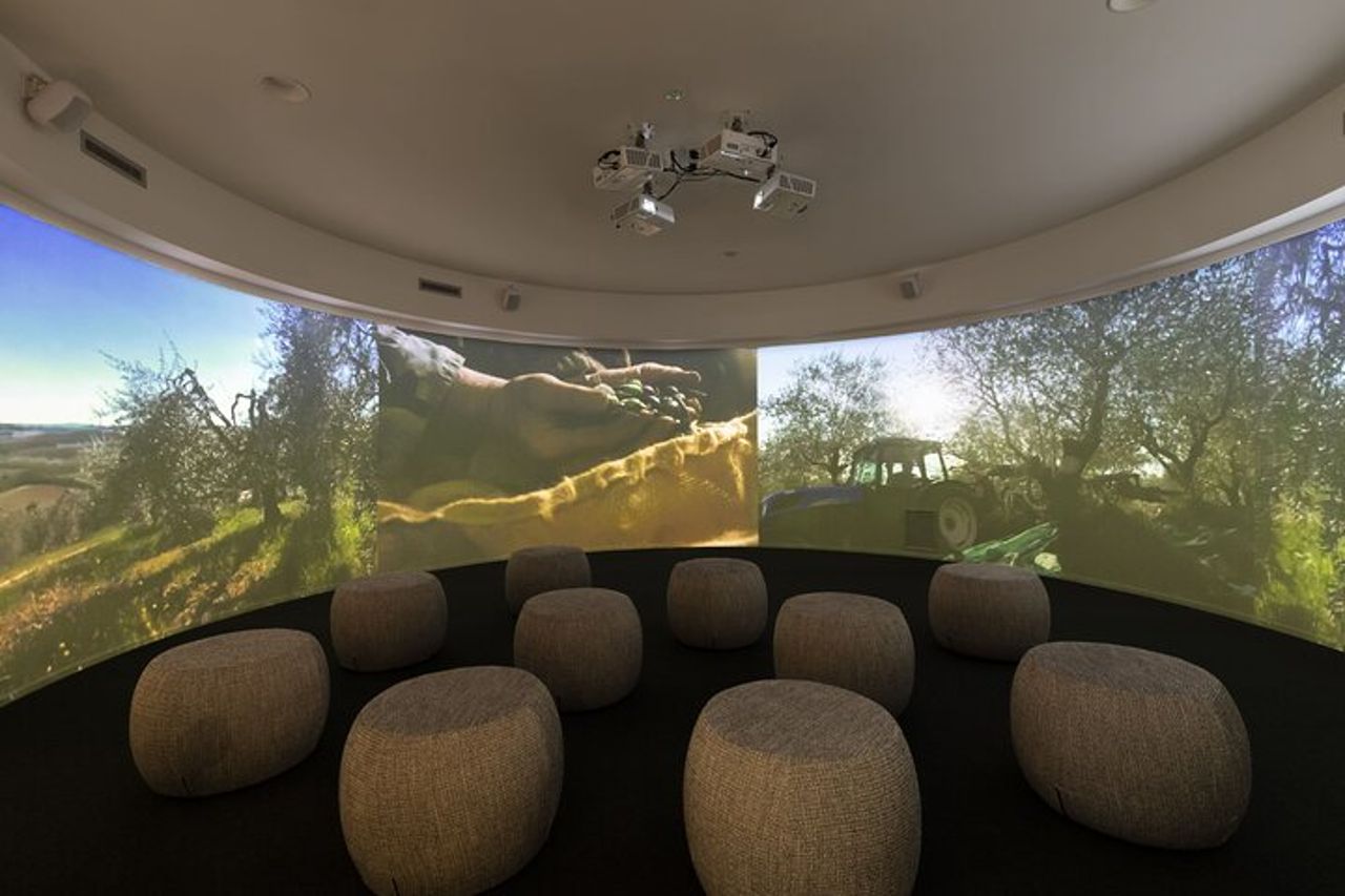 Museo dell’olio e frantoio in Toscana: tour e degustazione — 9