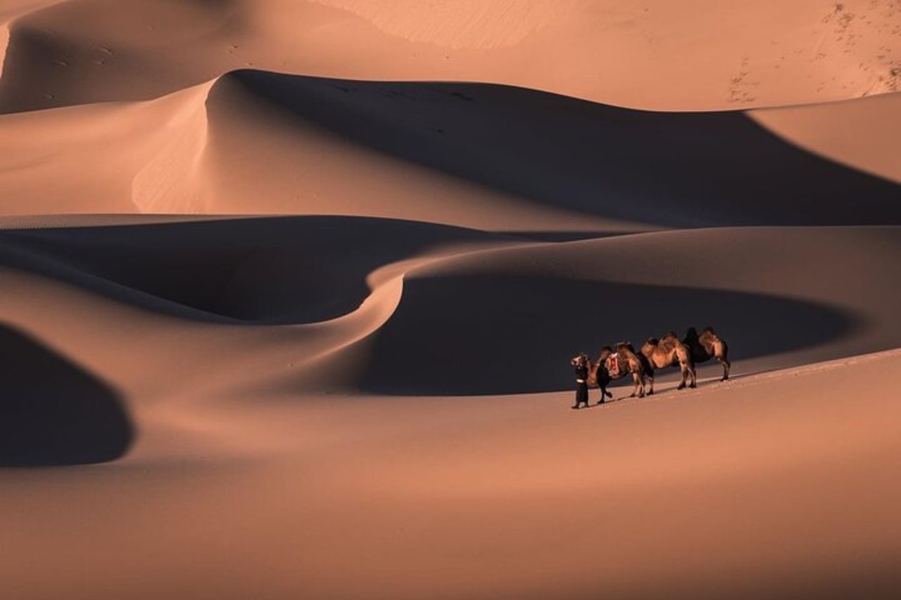 Tour di 6 giorni nel deserto del Gobi con prelievo gratuito dall'aeroporto