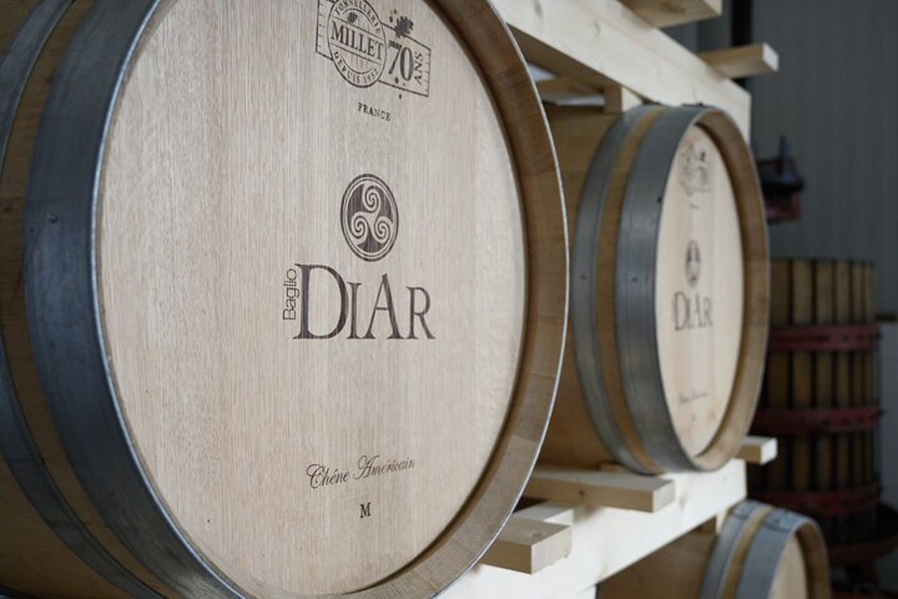 Marsala Degustazione di 5 vini biologici siciliani — 4