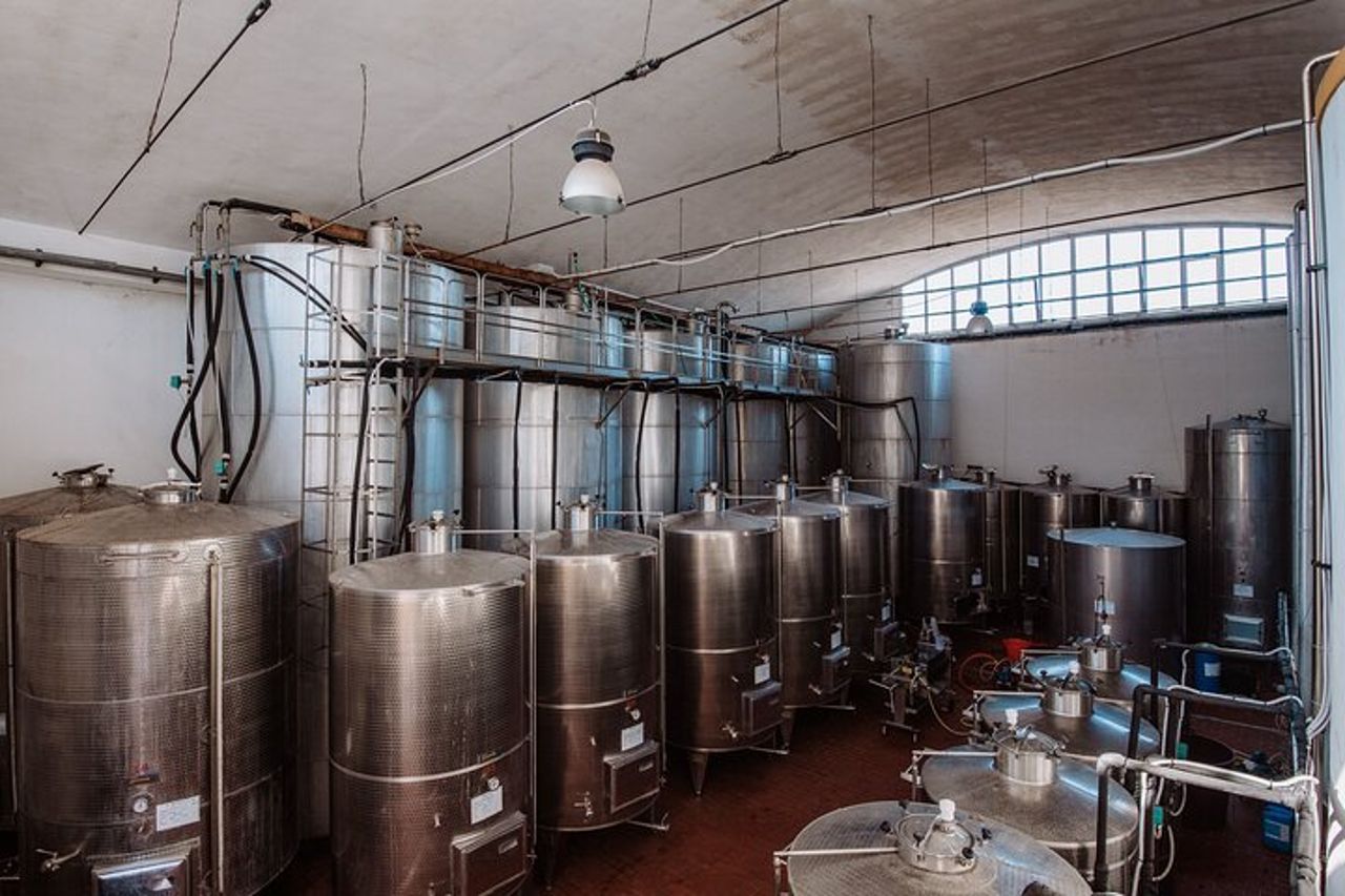 Marsala Degustazione di 5 vini biologici siciliani — 5