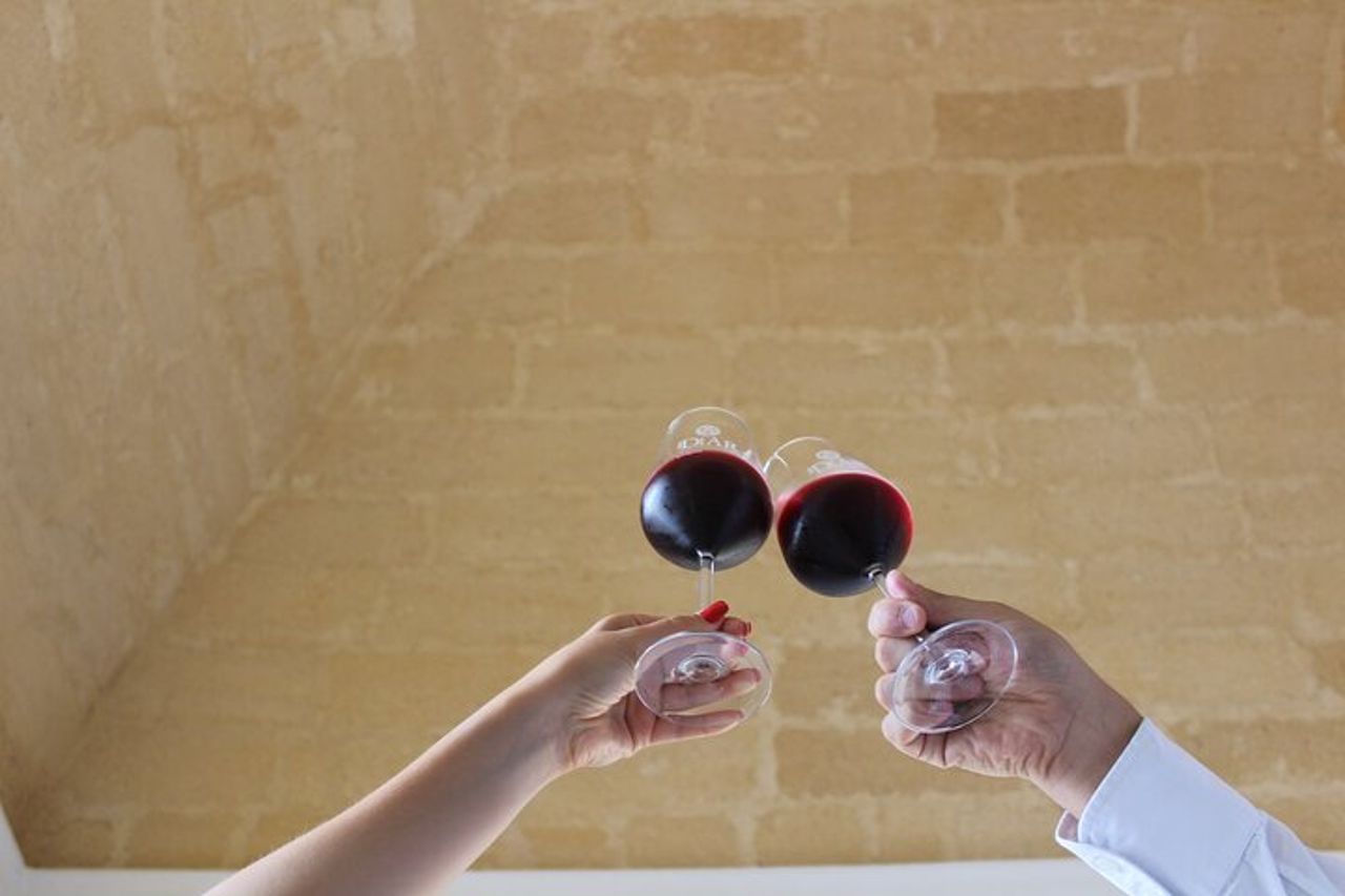 Marsala Degustazione di 5 vini biologici siciliani — 8