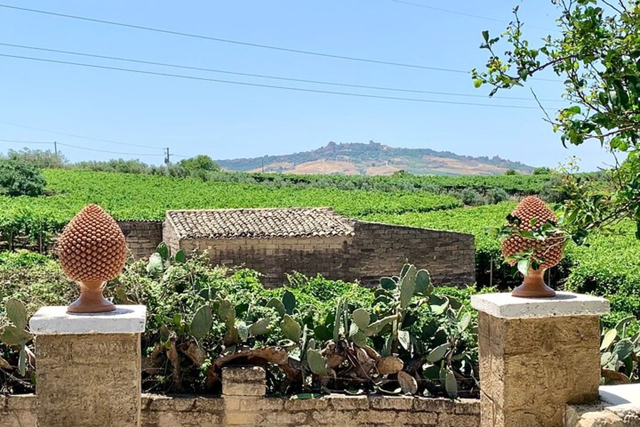 Tour Privato AGRIGENTO e CANTINA con Guida Autista — 9